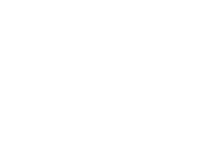 Drone Turtle Logo