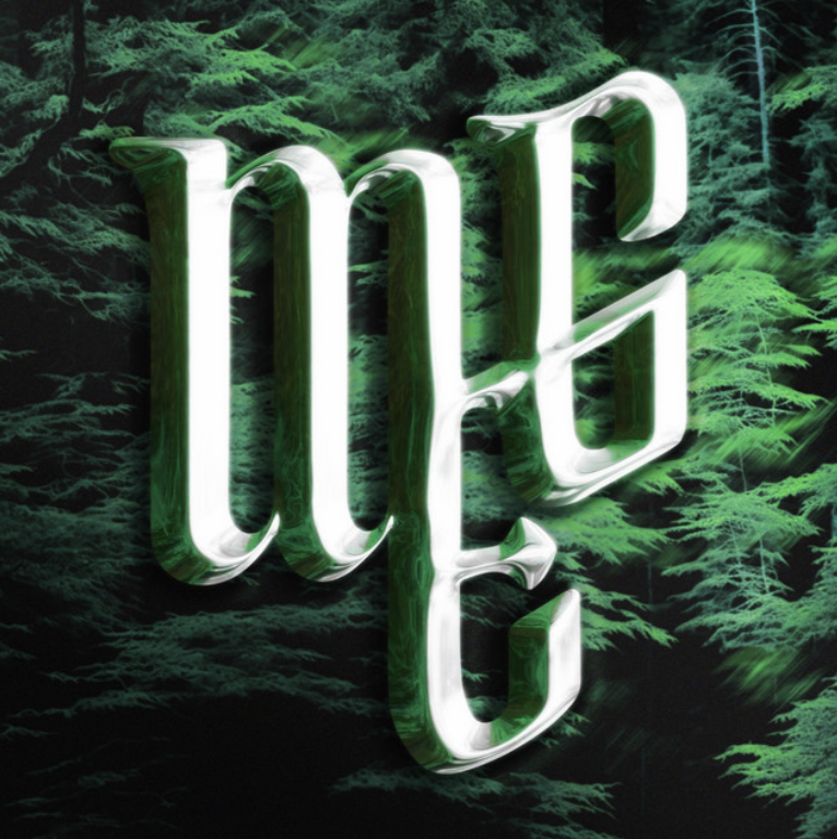 MEG